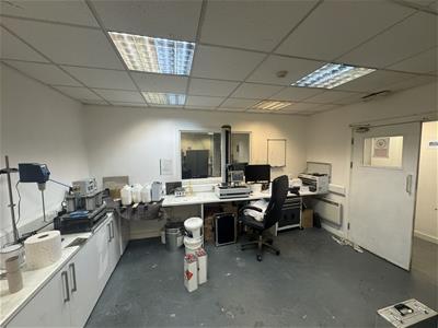 Picture 13